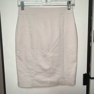 H&M Fitted Skirt